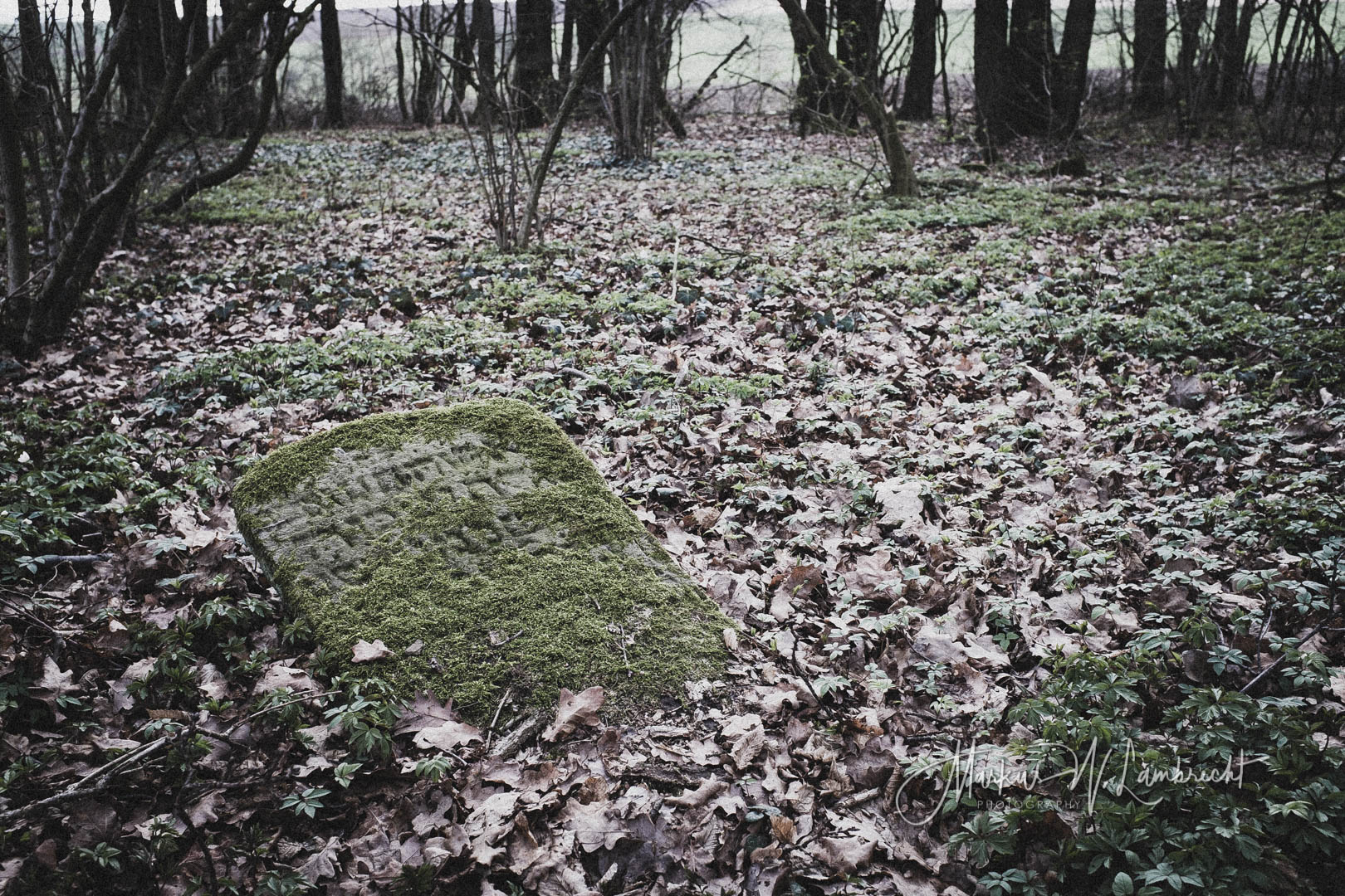 Ebersburg, Jüdischer Friedhof